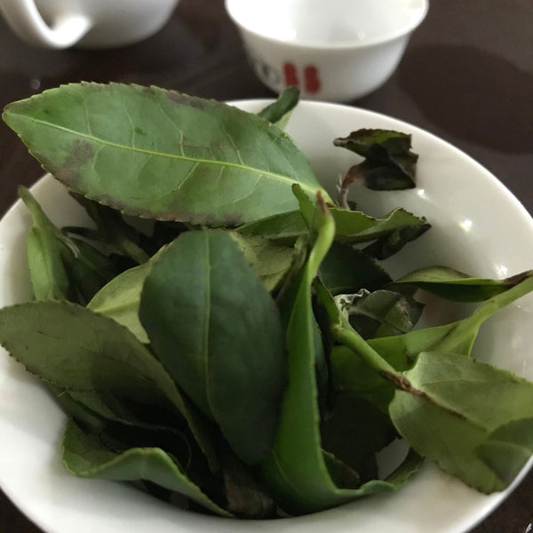 Book of Spells Tieguanyin | Oolong Tea
