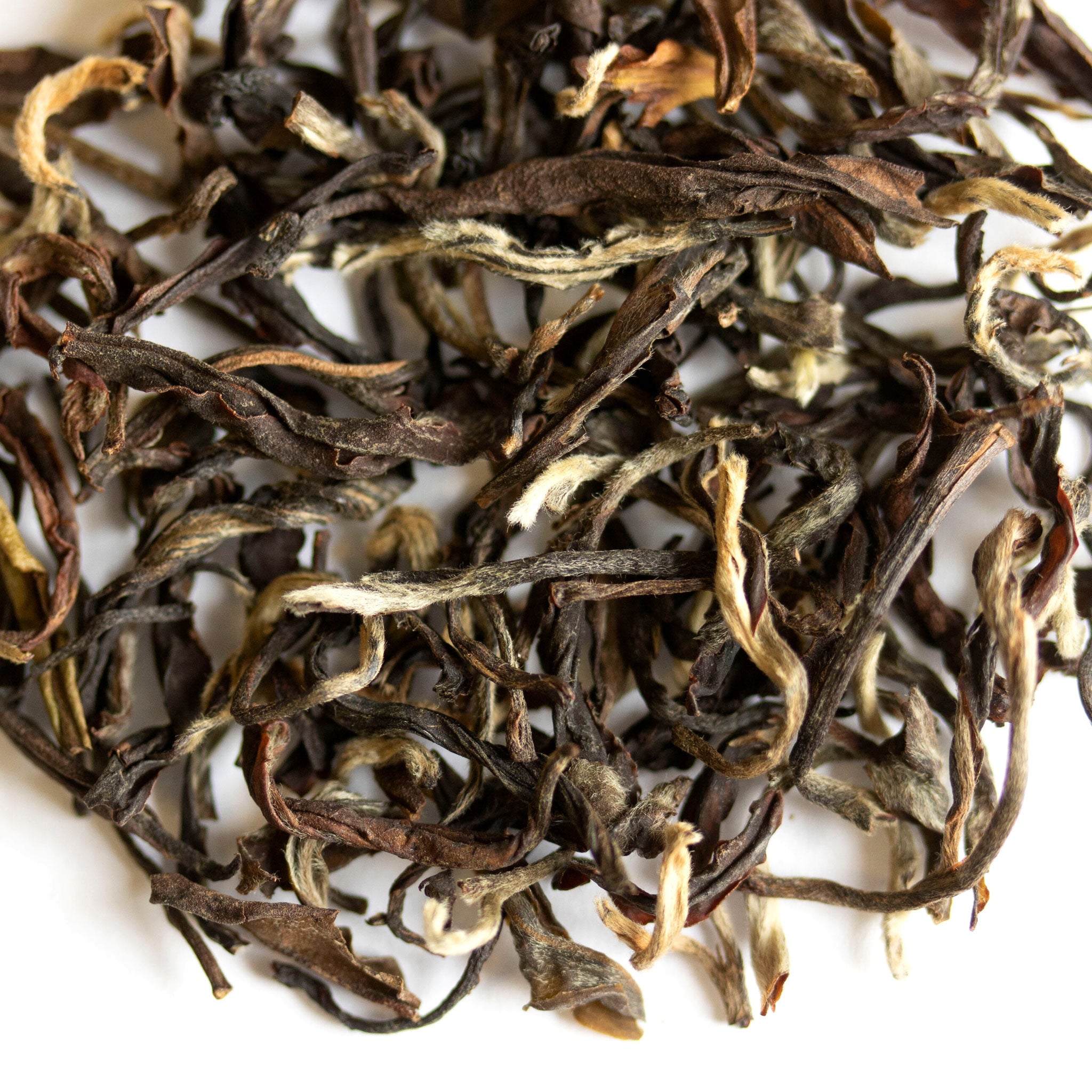 Loose leaf Ruffneck Wren Darjeeling 2nd Flush black tea