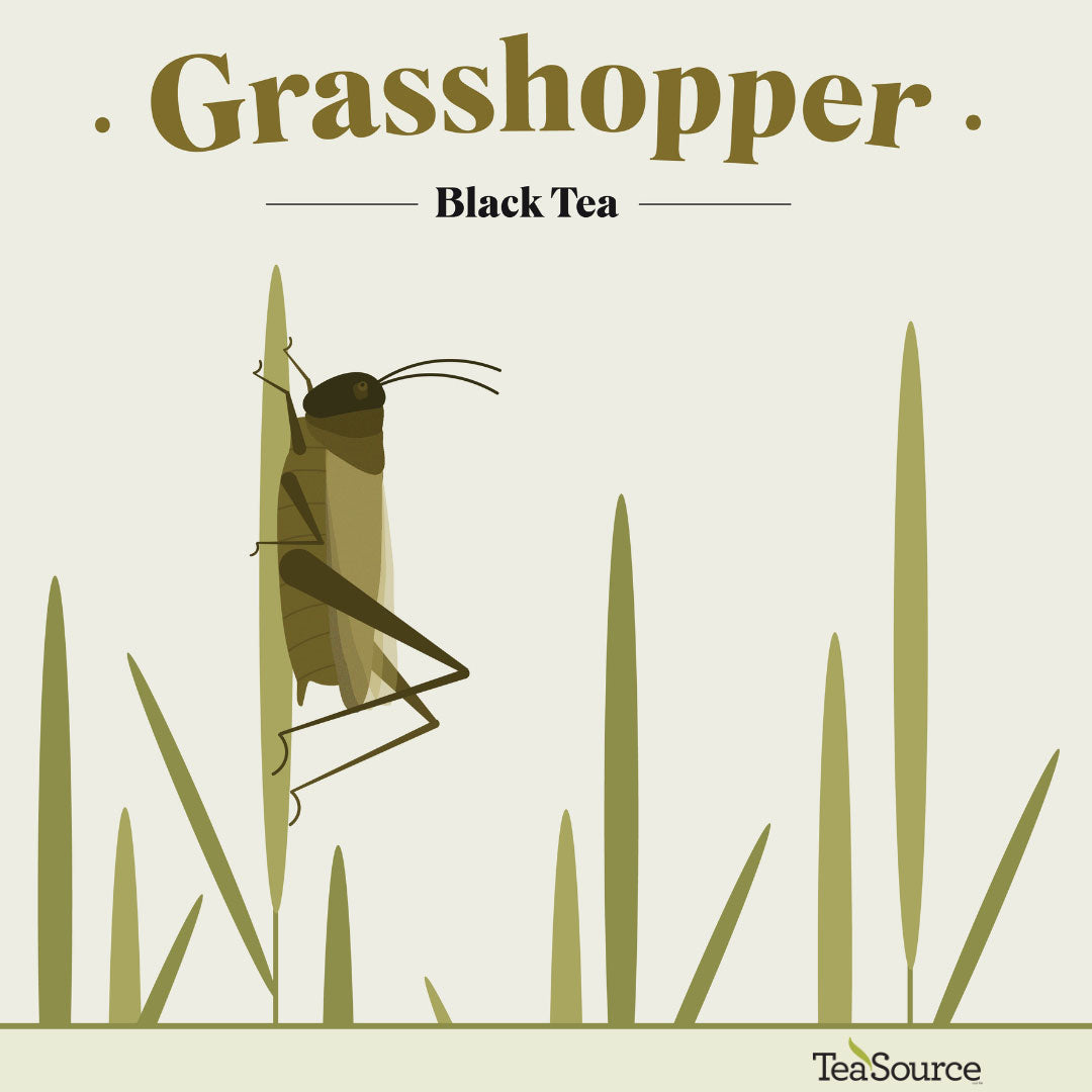 Grasshopper black tea