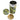 7oz Enchanted Forest Washi Tea Tin