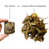 Dry leaf and steeped leave comparison Immortal Diamond pressed oolong tea