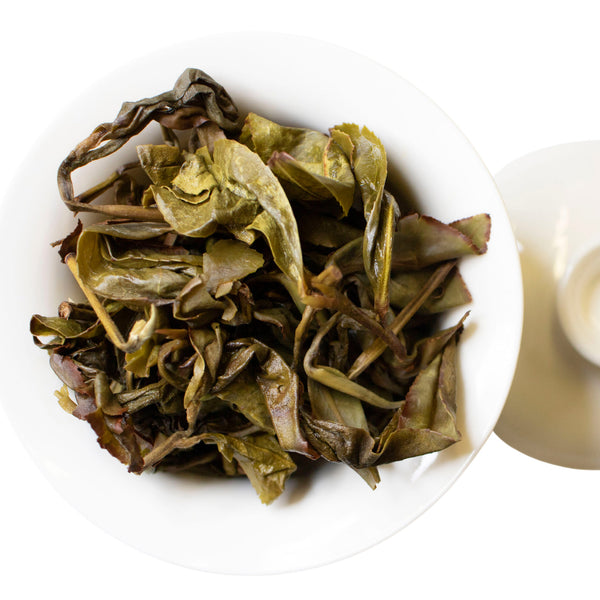 Steeped leaves Immortal Diamond pressed oolong tea