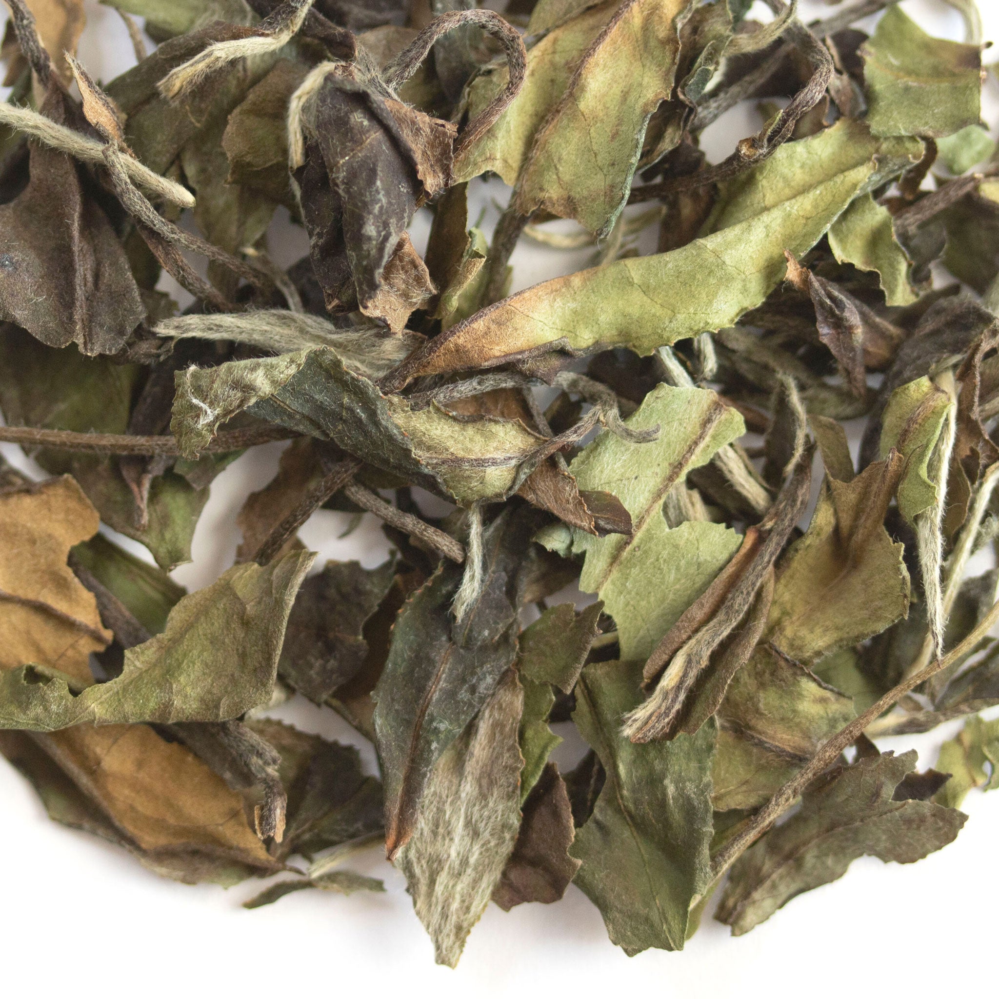 Loose leaf White Peony white tea