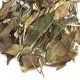 Loose leaf Trail Rider white tea