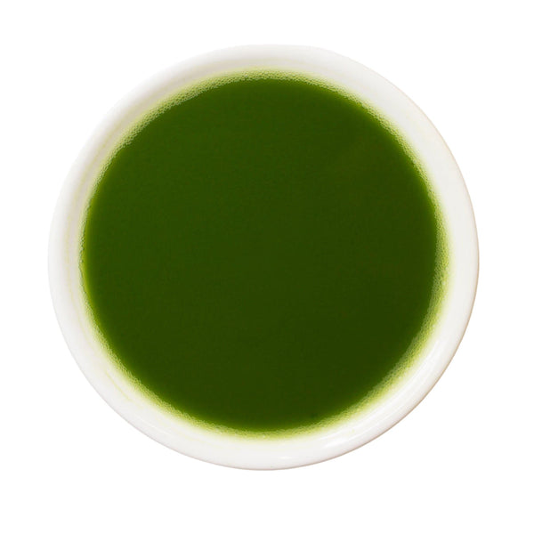 Prepared cup Matcha Chiyo-no-shiro green tea powder