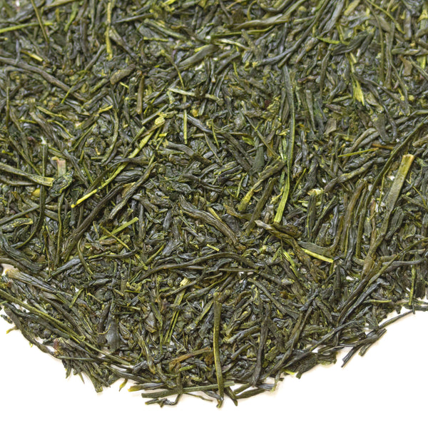 Loose leaf 2022 Sencha Haru Japanese green tea