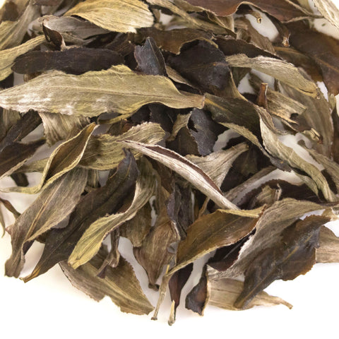Ceylon Silver Feathers | White Tea