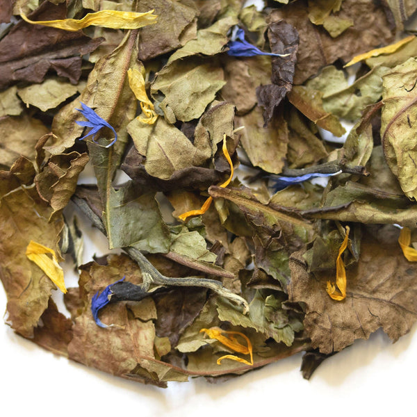 Sugar Magnolias | White Tea | TeaSource