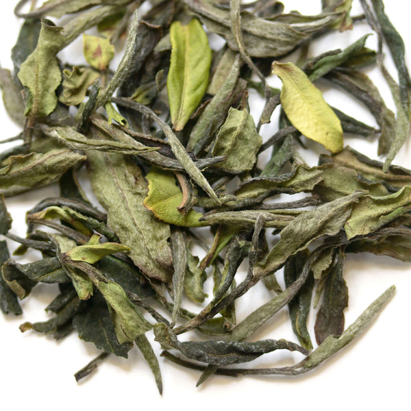 Loose leaf Star Peony White Tea