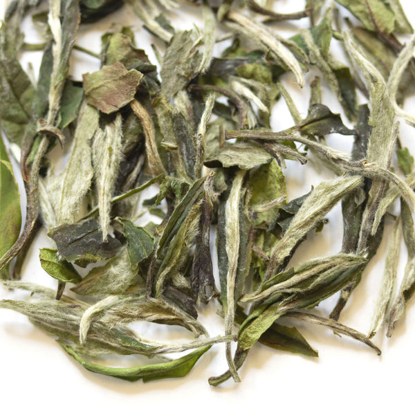 Loose leaf Wildflower White Tea