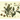 Camellia sinensis TeaSource e-gift card