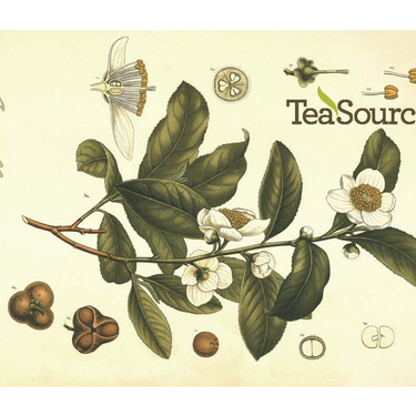 Camellia sinensis TeaSource e-gift card