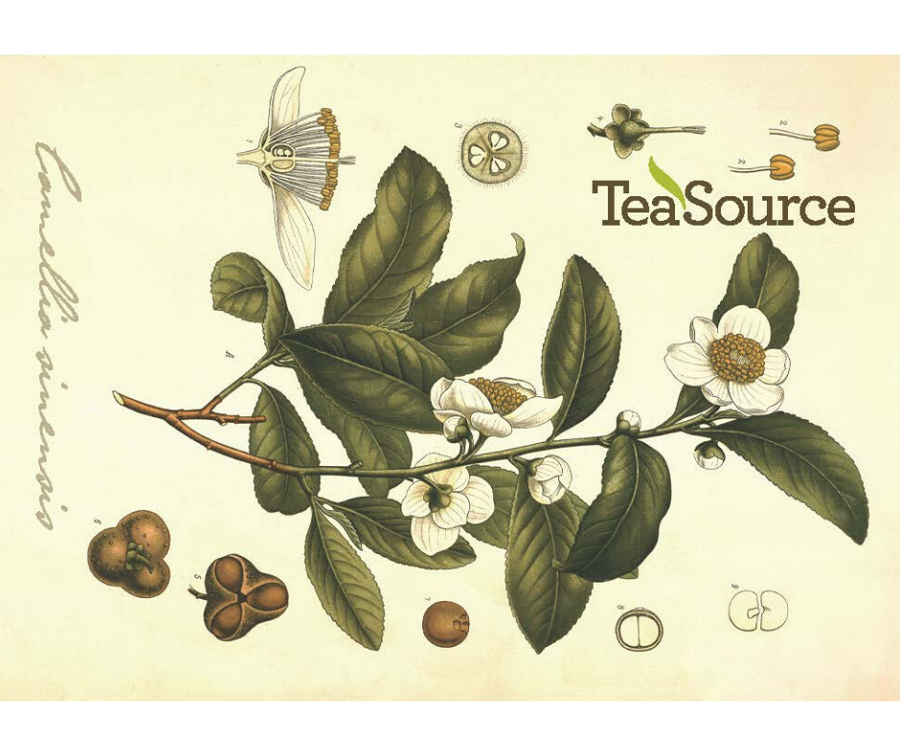 TeaSource E-Gift Card | TeaSource