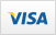 Visa Payment Icon
